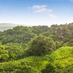 First image of Peters Rock Road in Jacks Hill, St. Andrew, Jamaica - property is For Sale