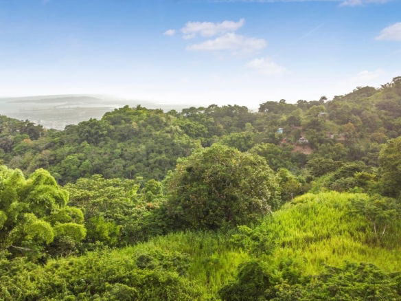 First image of Peters Rock Road in Jacks Hill, St. Andrew, Jamaica - property is For Sale