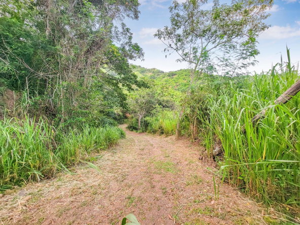 Seventh image of Peters Rock Road in Jacks Hill, St. Andrew, Jamaica - property is For Sale