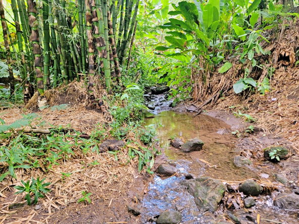 Eighth image of Peters Rock Road in Jacks Hill, St. Andrew, Jamaica - property is For Sale