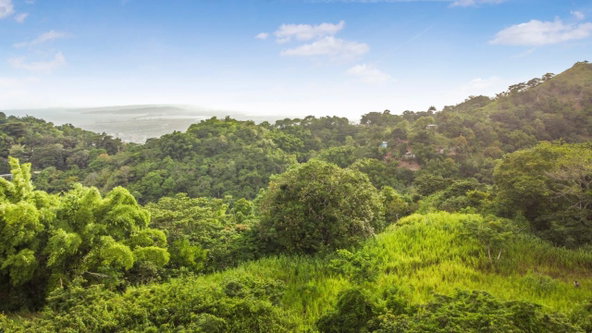 First image of Peters Rock Road in Jacks Hill, St. Andrew, Jamaica - property is For Sale