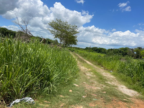 Third image of Clarendon Park in Toll Gate, Clarendon, Jamaica - property is For Sale