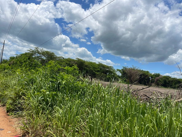 Fifth image of Clarendon Park in Toll Gate, Clarendon, Jamaica - property is For Sale