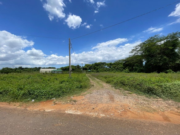 First image of Clarendon Park in Toll Gate, Clarendon, Jamaica - property is For Sale