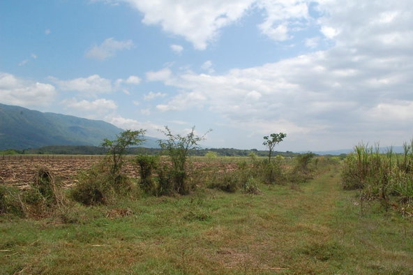 Second image of 6 Bogue, Saint Elizabeth in Elim, St. Elizabeth, Jamaica - property is For Sale