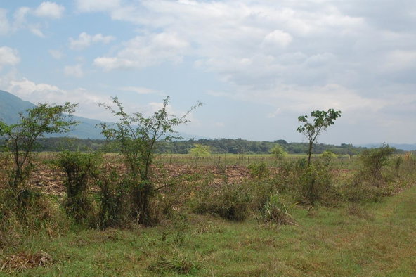 First image of 6 Bogue, Saint Elizabeth in Elim, St. Elizabeth, Jamaica - property is For Sale