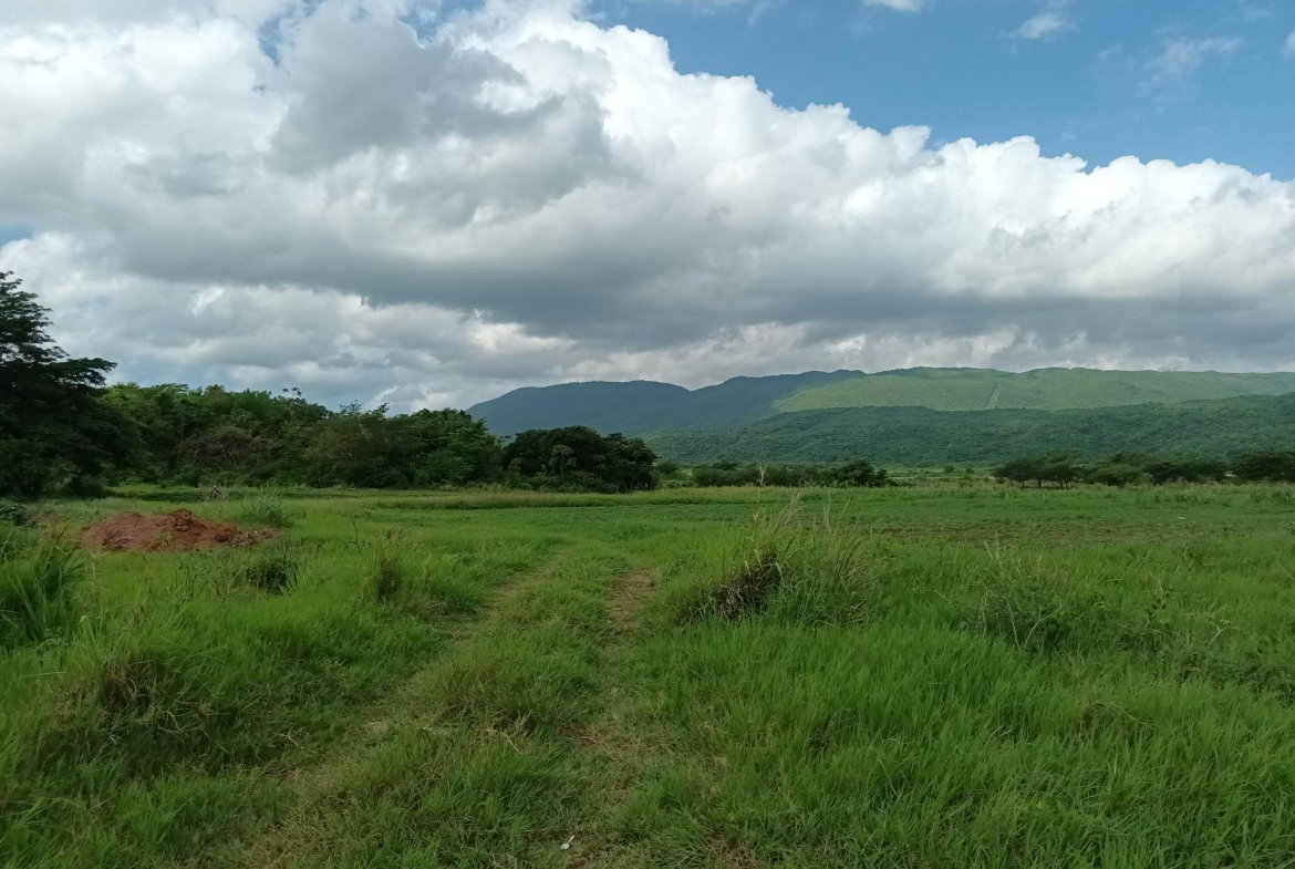 Twelfth image of Top Hill Farm, Toll Gate, in TOLLGATE, Clarendon, Jamaica - property is For Sale