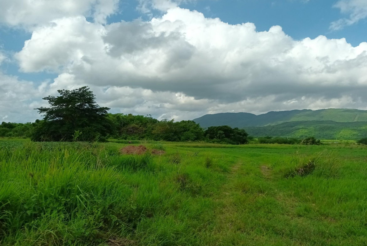 First image of Top Hill Farm, Toll Gate, in TOLLGATE, Clarendon, Jamaica - property is For Sale