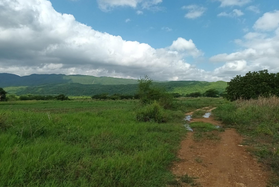 Third image of Top Hill Farm, Toll Gate, in TOLLGATE, Clarendon, Jamaica - property is For Sale