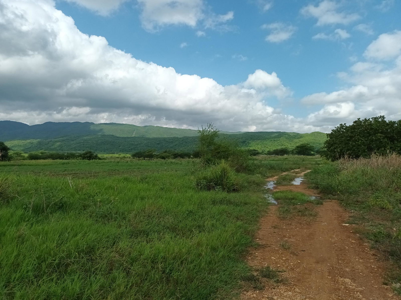 153-Acres-of-Prime-Residential-Development-Land-for-Sale-in-Clarendon-Jamaica Third image of Top Hill Farm, Toll Gate, in TOLLGATE, Clarendon, Jamaica - property is For Sale