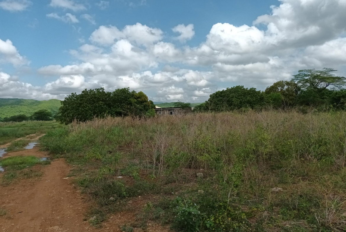 Fourth image of Top Hill Farm, Toll Gate, in TOLLGATE, Clarendon, Jamaica - property is For Sale