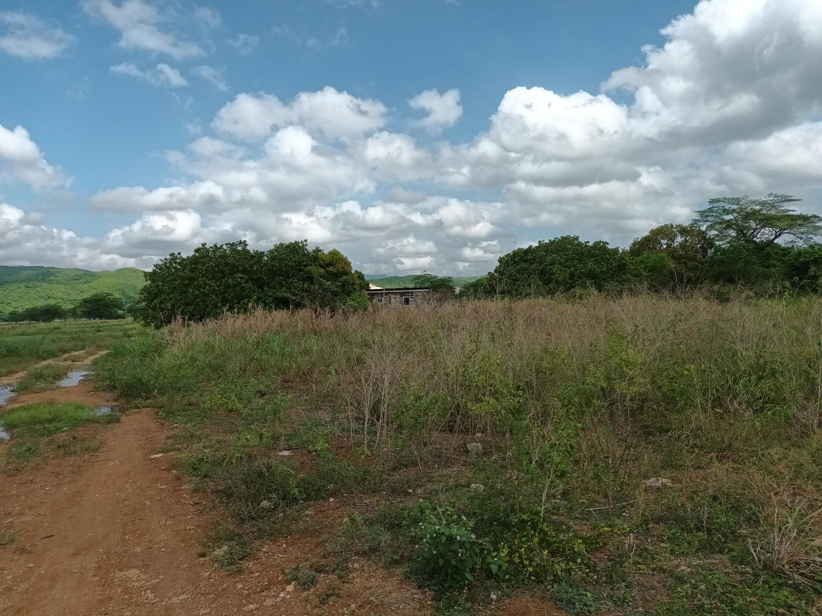 153-Acres-of-Prime-Residential-Development-Land-for-Sale-in-Clarendon-Jamaica Fourth image of Top Hill Farm, Toll Gate, in TOLLGATE, Clarendon, Jamaica - property is For Sale