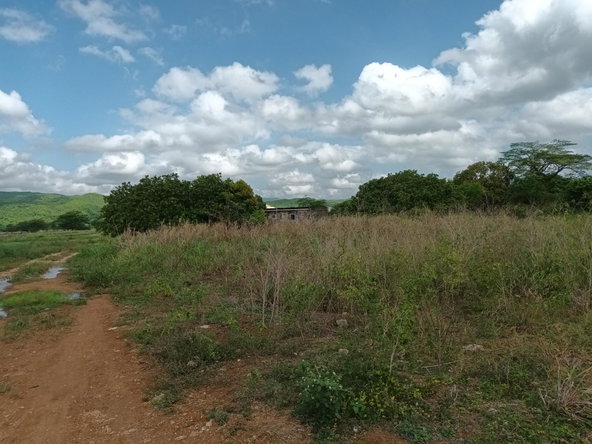 Fourth image of Top Hill Farm, Toll Gate, in TOLLGATE, Clarendon, Jamaica - property is For Sale