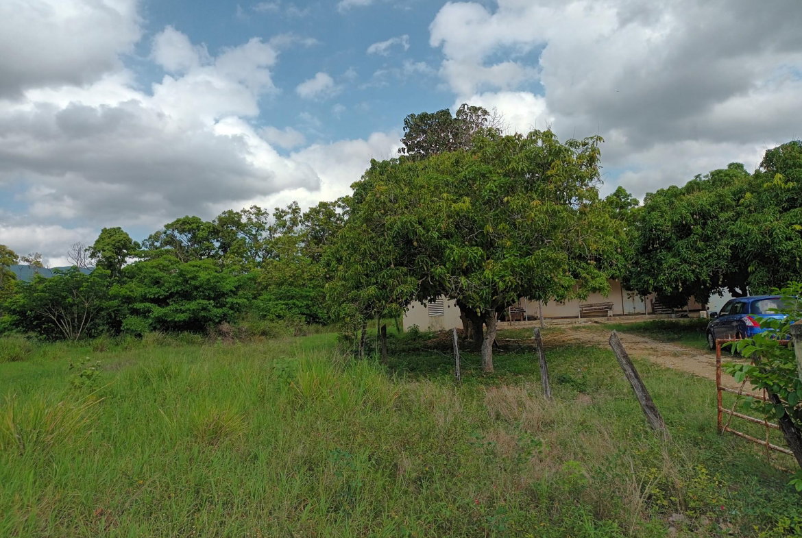 Fifth image of Top Hill Farm, Toll Gate, in TOLLGATE, Clarendon, Jamaica - property is For Sale