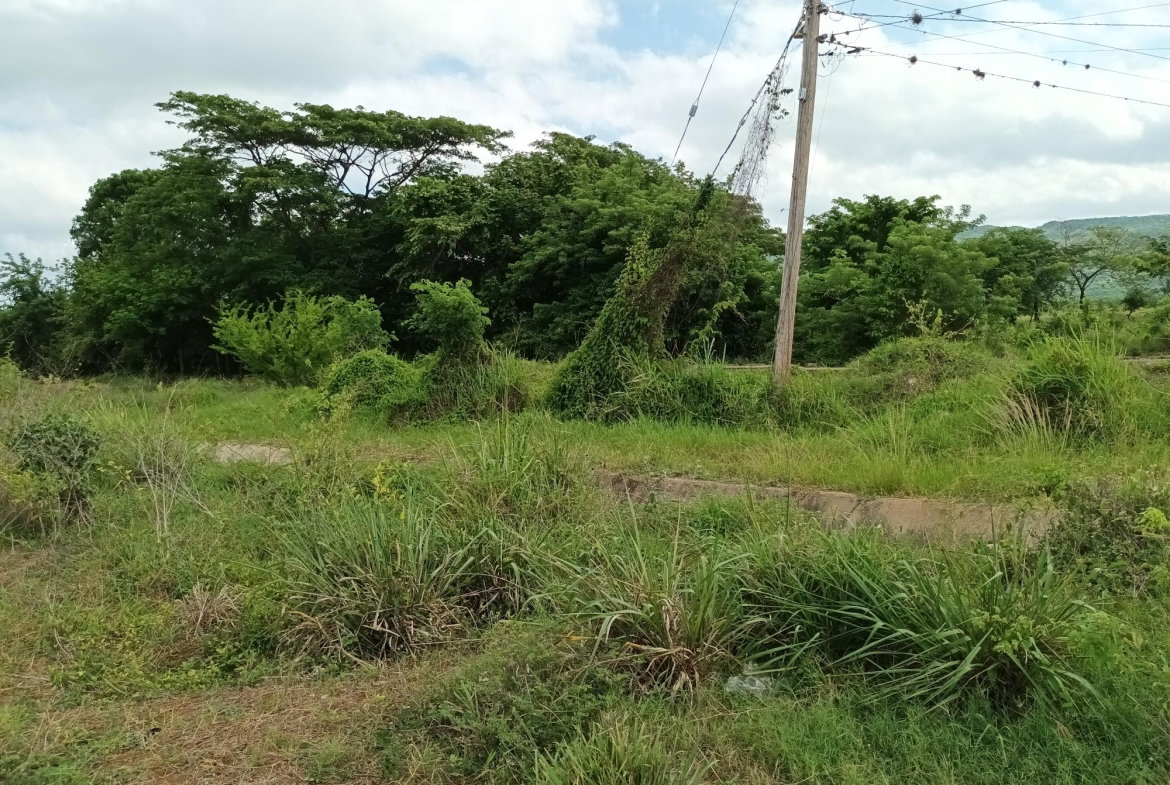 Sixth image of Top Hill Farm, Toll Gate, in TOLLGATE, Clarendon, Jamaica - property is For Sale