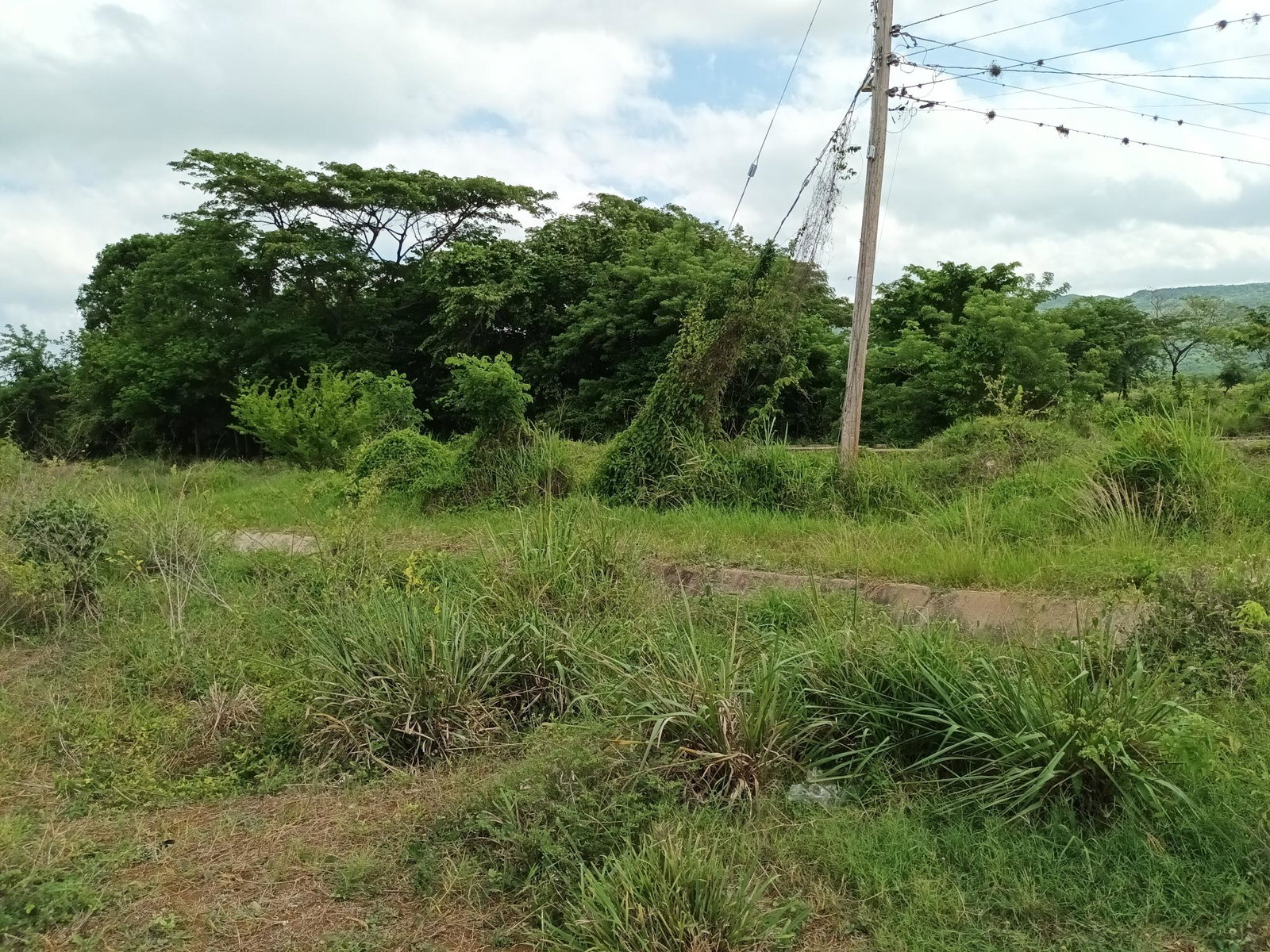 153-Acres-of-Prime-Residential-Development-Land-for-Sale-in-Clarendon-Jamaica Sixth image of Top Hill Farm, Toll Gate, in TOLLGATE, Clarendon, Jamaica - property is For Sale