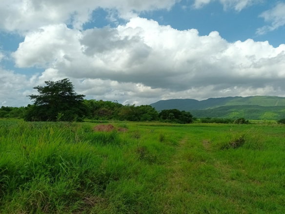 First image of Top Hill Farm, Toll Gate, in TOLLGATE, Clarendon, Jamaica - property is For Sale