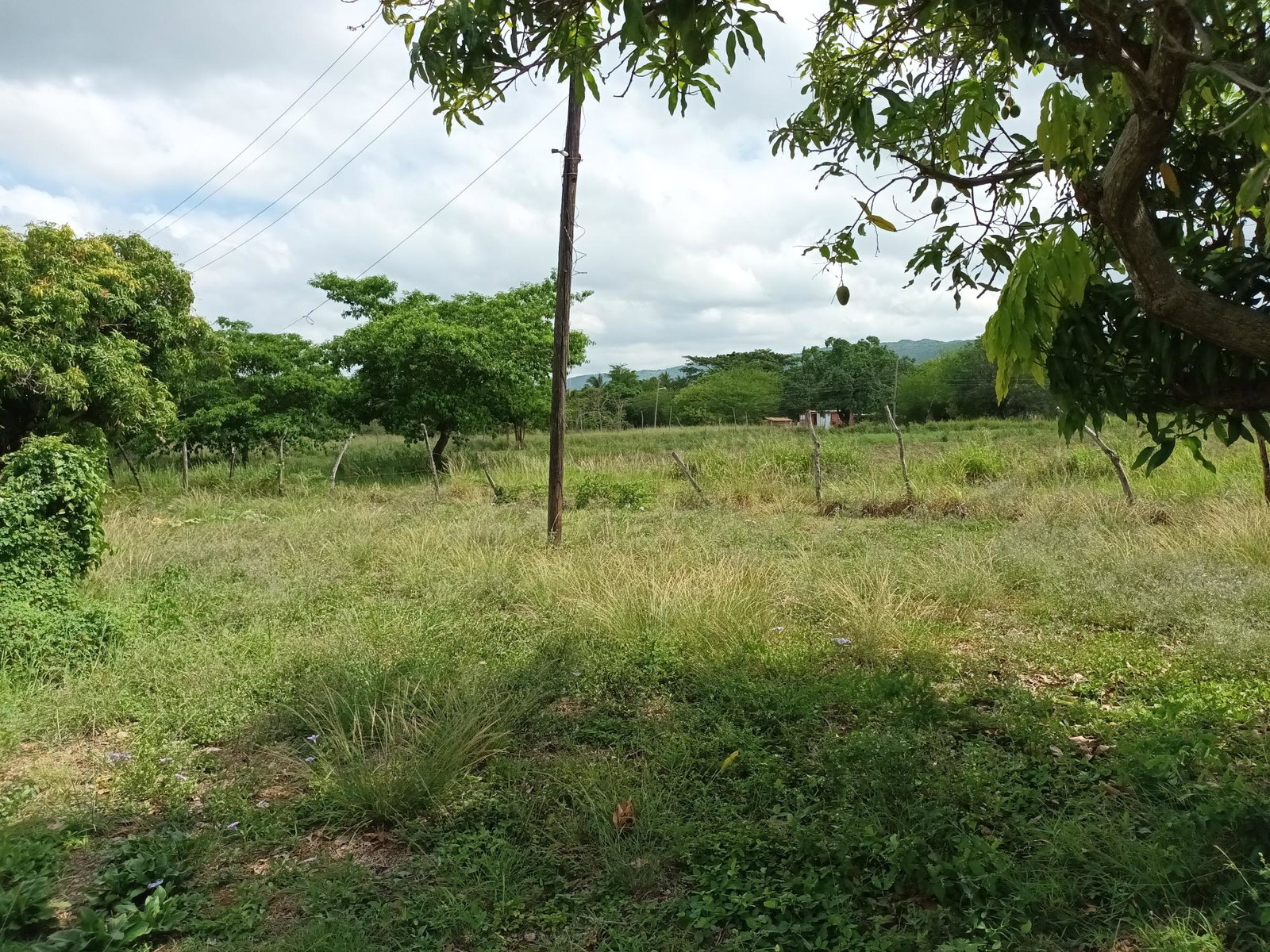 153-Acres-of-Prime-Residential-Development-Land-for-Sale-in-Clarendon-Jamaica Ninth image of Top Hill Farm, Toll Gate, in TOLLGATE, Clarendon, Jamaica - property is For Sale