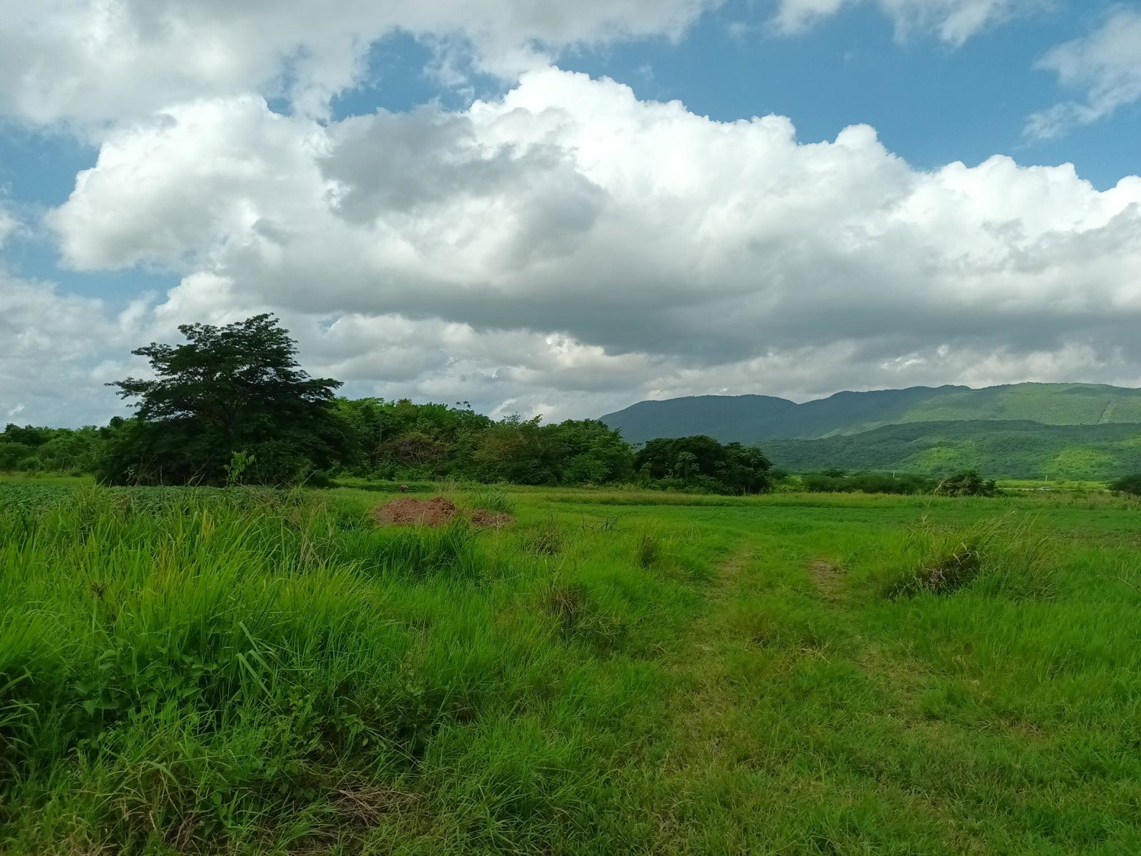 153-Acres-of-Prime-Residential-Development-Land-for-Sale-in-Clarendon-Jamaica First image of Top Hill Farm, Toll Gate, in TOLLGATE, Clarendon, Jamaica - property is For Sale