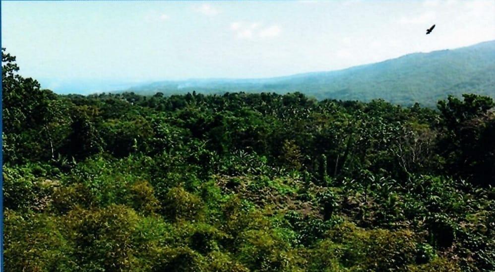 Second image of Betty's Hope Manchioneal in Manchioneal, Portland, Jamaica - property is For Sale