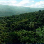 First image of Betty's Hope Manchioneal in Manchioneal, Portland, Jamaica - property is For Sale