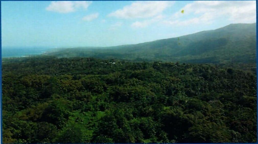 Third image of Betty's Hope Manchioneal in Manchioneal, Portland, Jamaica - property is For Sale