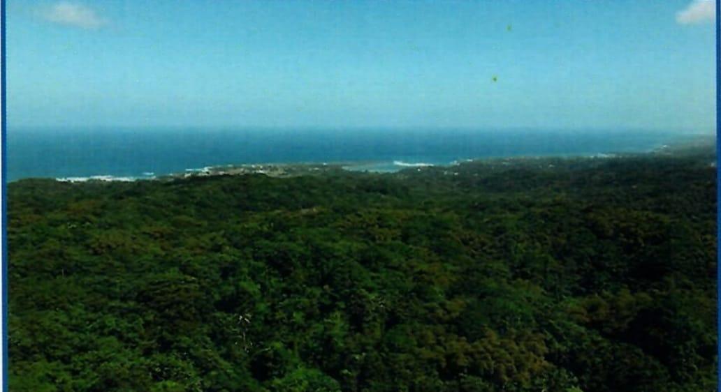 Fourth image of Betty's Hope Manchioneal in Manchioneal, Portland, Jamaica - property is For Sale