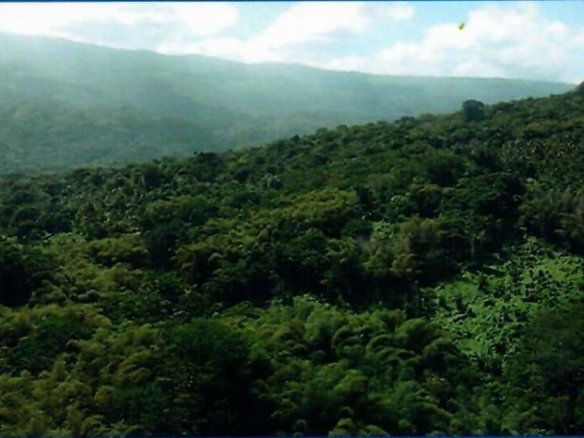 First image of Betty's Hope Manchioneal in Manchioneal, Portland, Jamaica - property is For Sale