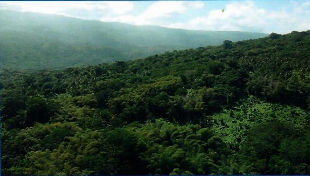 First image of Betty's Hope Manchioneal in Manchioneal, Portland, Jamaica - property is For Sale