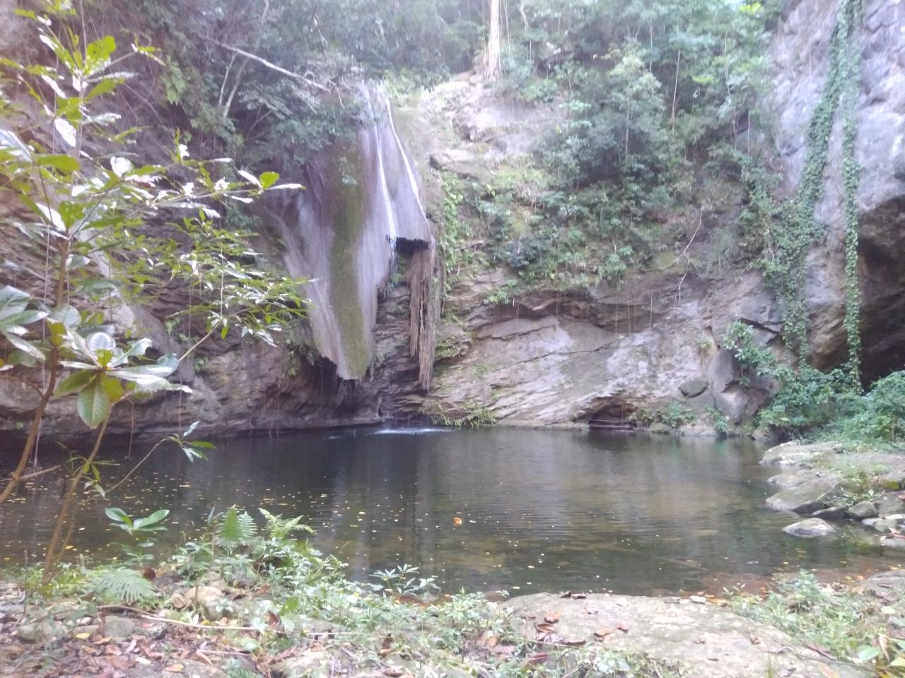 Second image of Part Ofcarlton, Islington in Islington, St. Mary, Jamaica - property is For Sale