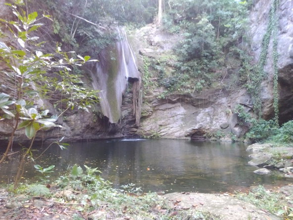Second image of Part Ofcarlton, Islington in Islington, St. Mary, Jamaica - property is For Sale