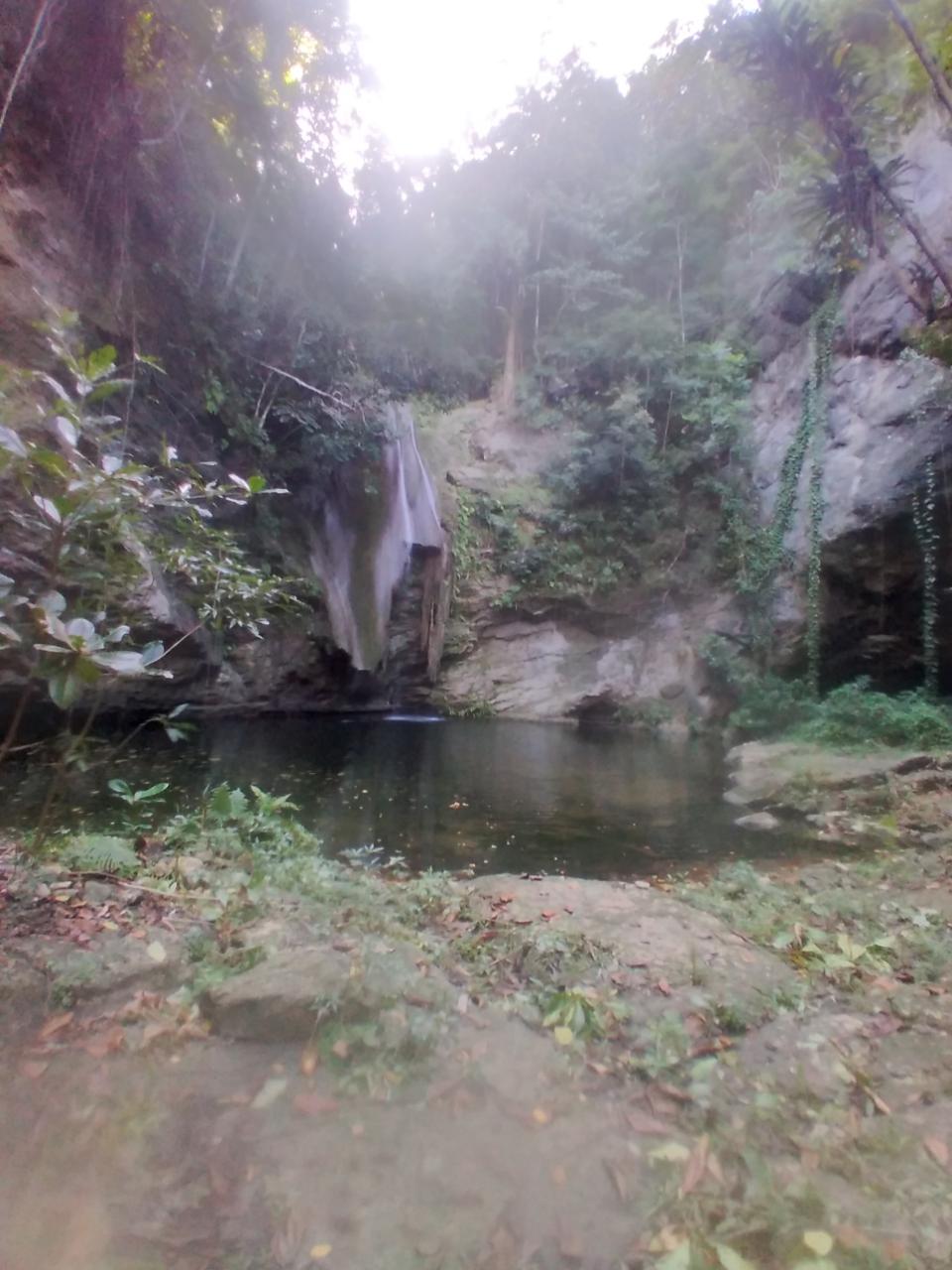 Third image of Part Ofcarlton, Islington in Islington, St. Mary, Jamaica - property is For Sale