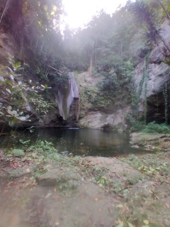 Third image of Part Ofcarlton, Islington in Islington, St. Mary, Jamaica - property is For Sale