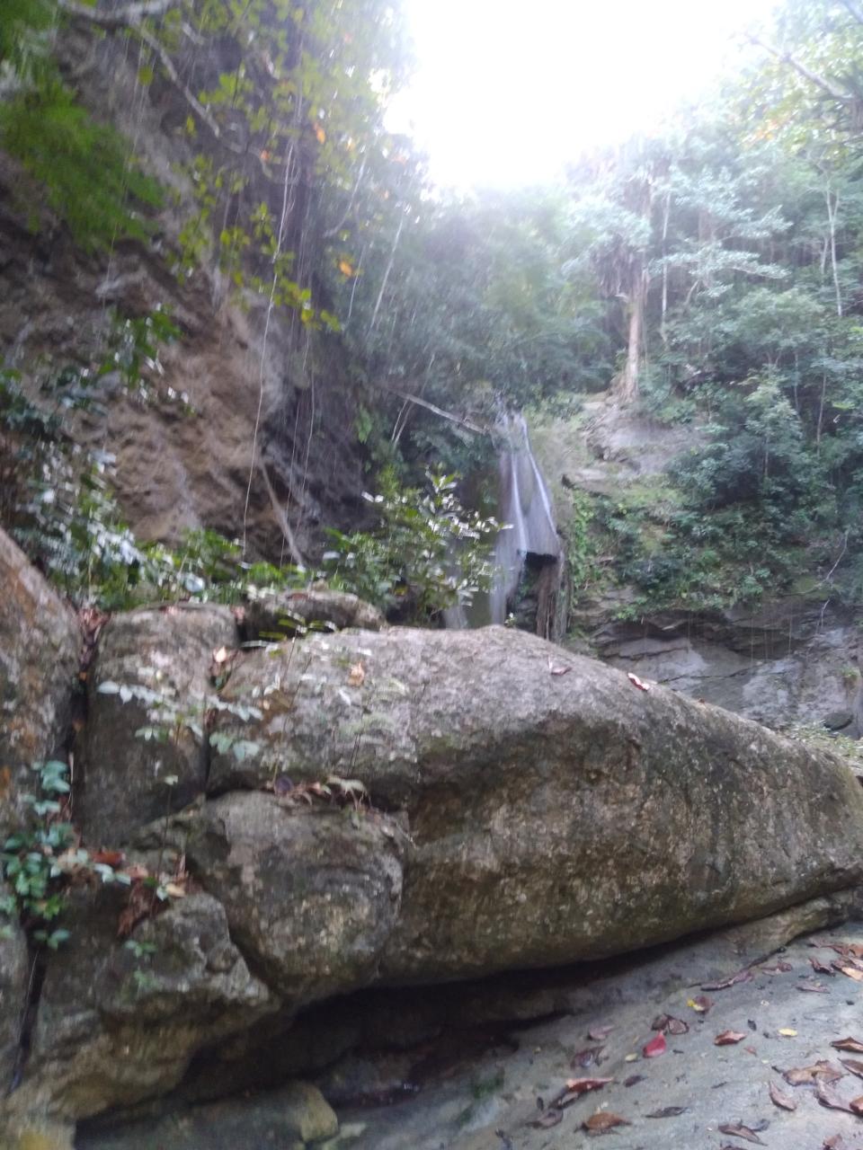 Fourth image of Part Ofcarlton, Islington in Islington, St. Mary, Jamaica - property is For Sale