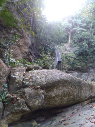 Fourth image of Part Ofcarlton, Islington in Islington, St. Mary, Jamaica - property is For Sale