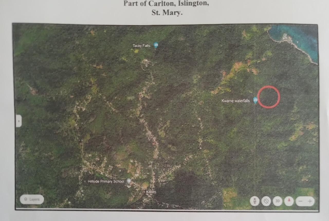 Sixth image of Part Ofcarlton, Islington in Islington, St. Mary, Jamaica - property is For Sale