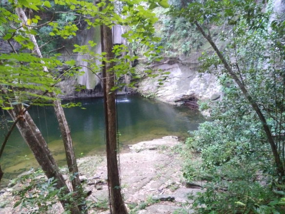 First image of Part Ofcarlton, Islington in Islington, St. Mary, Jamaica - property is For Sale