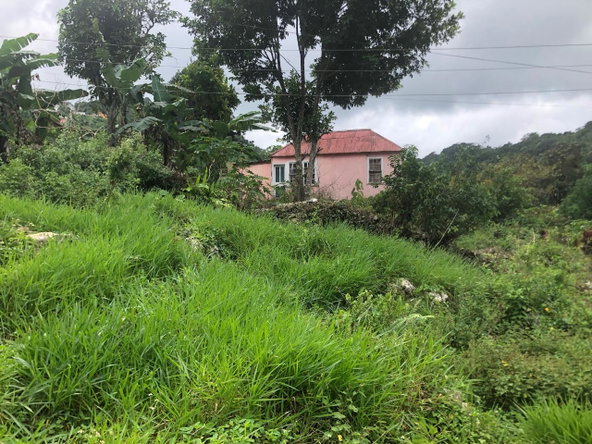Sixth image of Halifax, Manchester in Devon, Manchester, Jamaica - property is For Sale