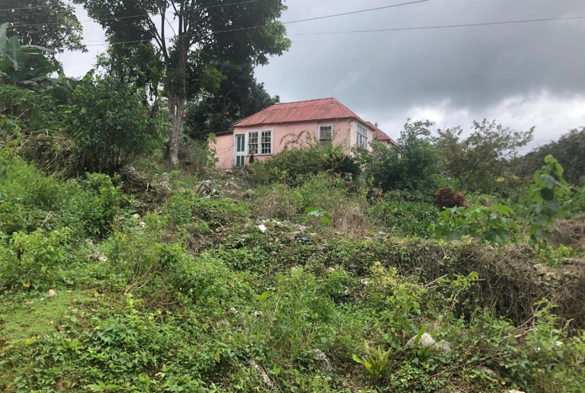 Seventh image of Halifax, Manchester in Devon, Manchester, Jamaica - property is For Sale