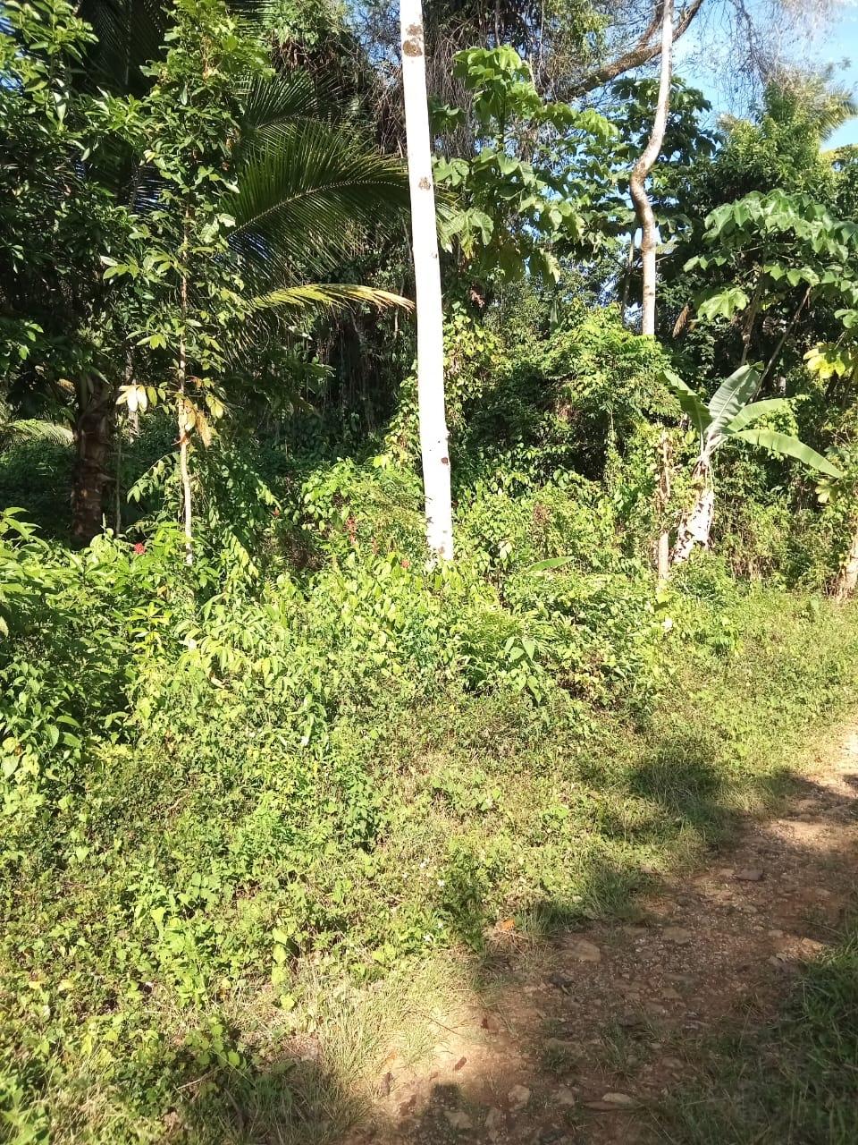 17-Acres-of-Prime-Residential-Development-Land-for-Sale-in-Elysium-Jamaica Second image of 6 Paradise Estate , Elysium in Hope Bay, Portland, Jamaica - property is For Sale
