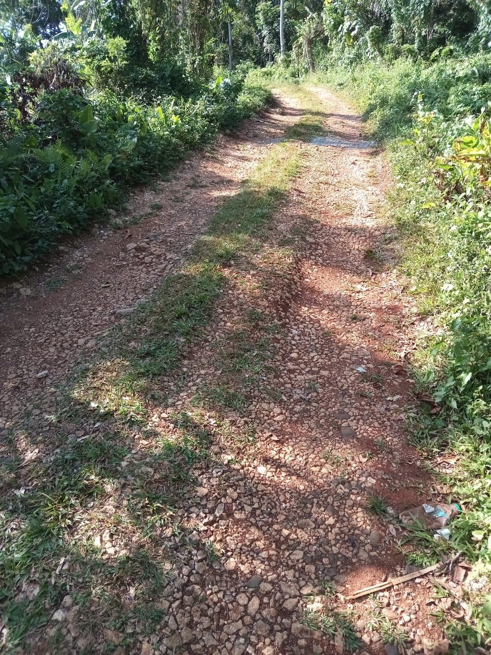 17-Acres-of-Prime-Residential-Development-Land-for-Sale-in-Elysium-Jamaica Eleventh image of 6 Paradise Estate , Elysium in Hope Bay, Portland, Jamaica - property is For Sale