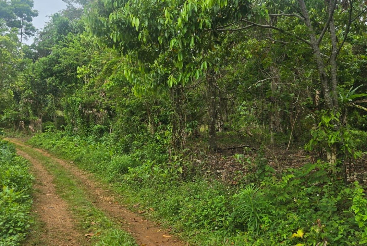 First image of 6 Paradise Estate , Elysium in Hope Bay, Portland, Jamaica - property is For Sale