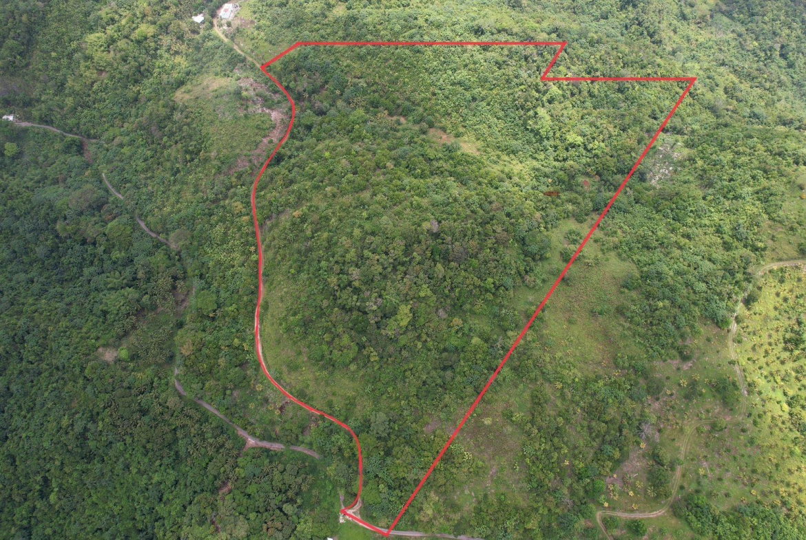 Fourteenth image of 6 Paradise Estate , Elysium in Hope Bay, Portland, Jamaica - property is For Sale
