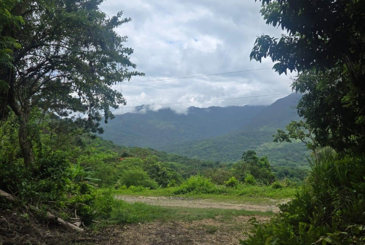 Fourth image of 6 Paradise Estate , Elysium in Hope Bay, Portland, Jamaica - property is For Sale