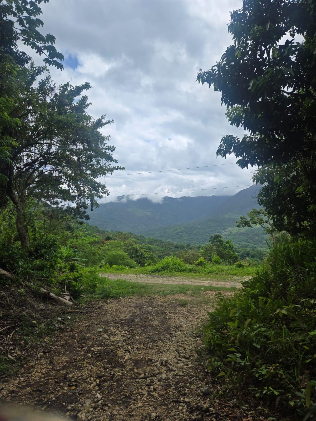 17-Acres-of-Prime-Residential-Development-Land-for-Sale-in-Elysium-Jamaica Fourth image of 6 Paradise Estate , Elysium in Hope Bay, Portland, Jamaica - property is For Sale
