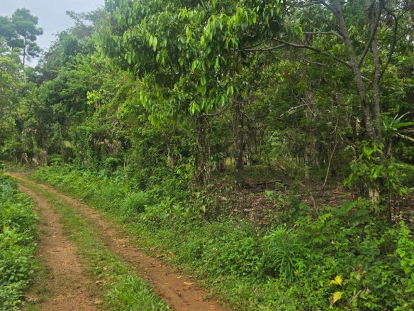 First image of 6 Paradise Estate , Elysium in Hope Bay, Portland, Jamaica - property is For Sale