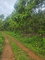 First image of 6 Paradise Estate , Elysium in Hope Bay, Portland, Jamaica - property is For Sale
