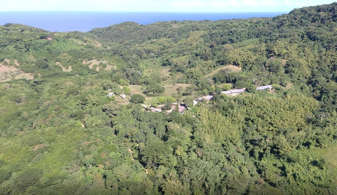 First image of Cocoa Farm, Davis Cove in Dias, Hanover, Jamaica - property is For Sale