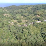 First image of Cocoa Farm, Davis Cove in Dias, Hanover, Jamaica - property is For Sale