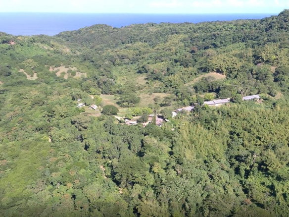 First image of Cocoa Farm, Davis Cove in Dias, Hanover, Jamaica - property is For Sale